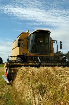 Farm Images